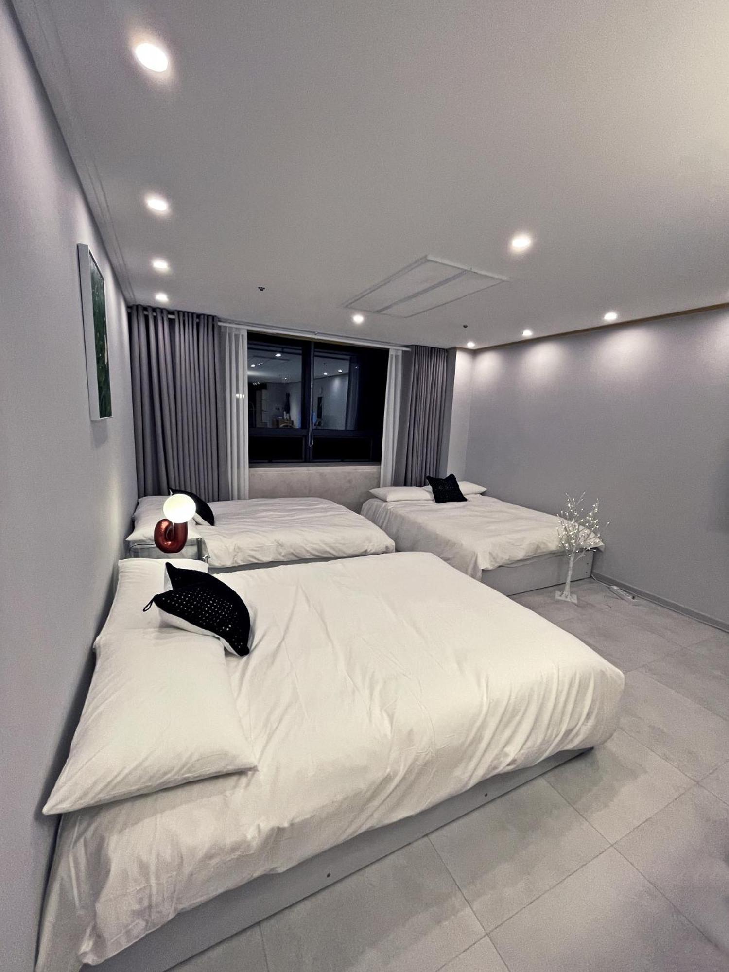 New Open Hongdae Tiger House ソウル特別市